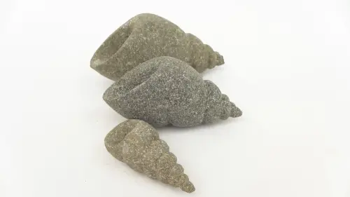 Product image of the product “Snail shell, turned, in the size from 10 to 20cm, basanite, natural ”